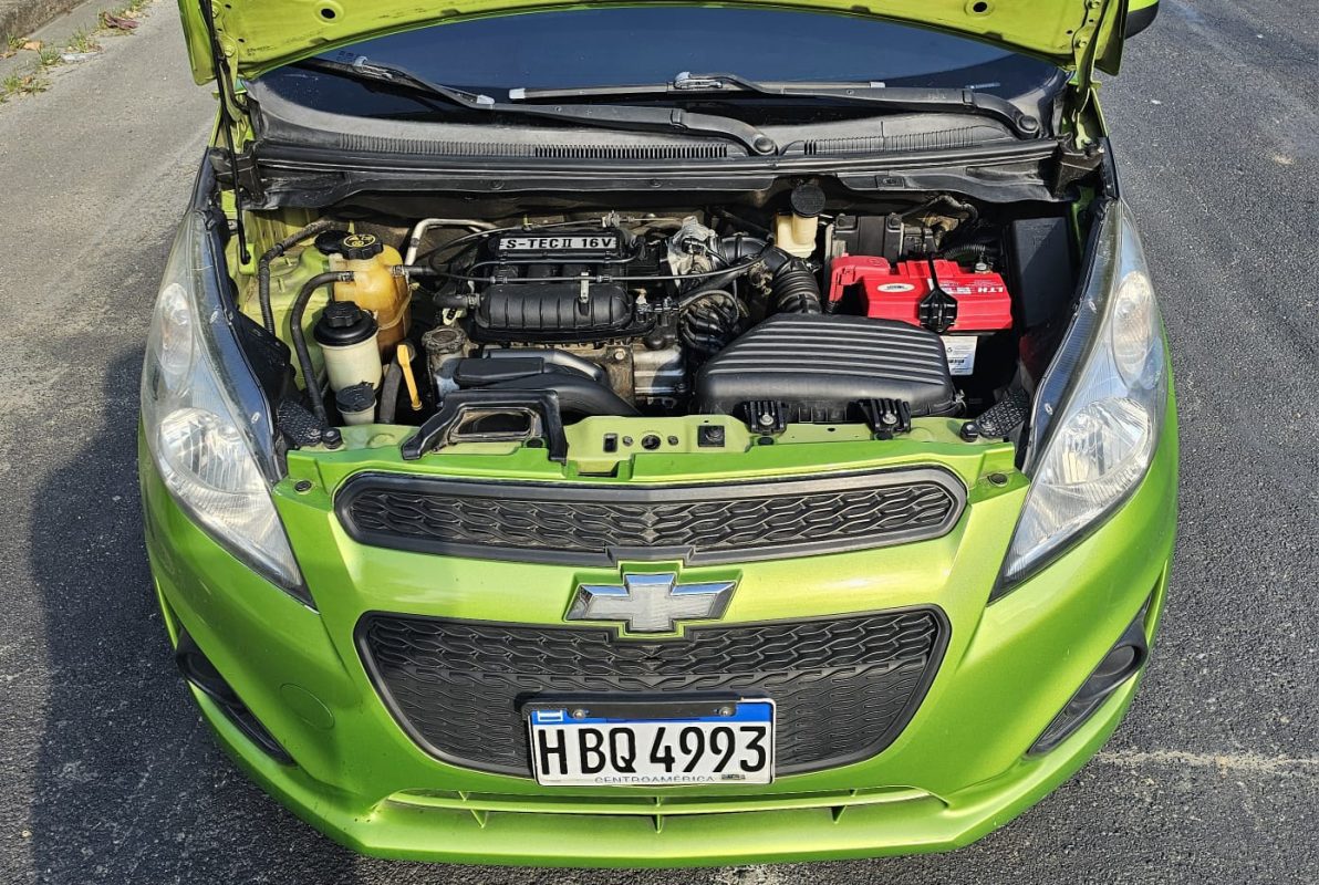 WhatsApp Image 2026-01-12 at 8.24.40 AM