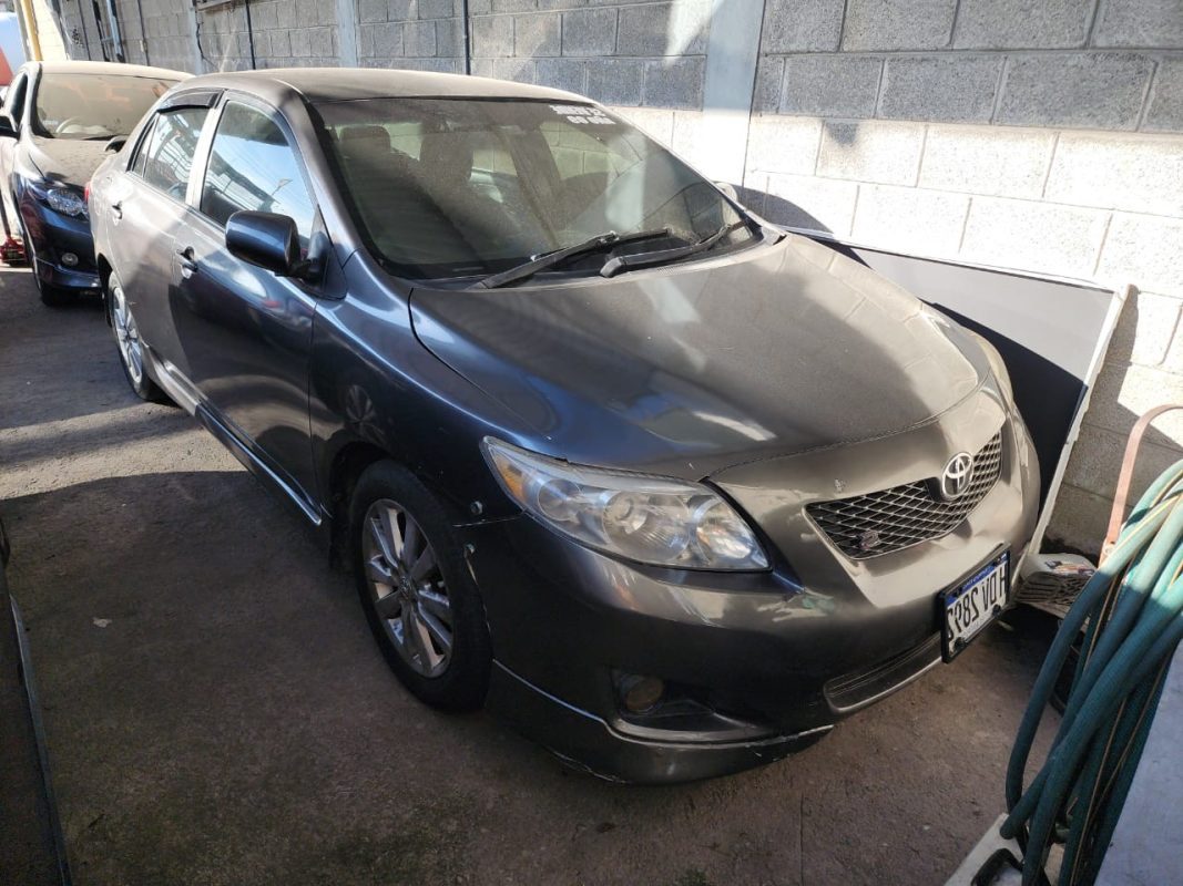 WhatsApp Image 2026-01-12 at 9.06.10 AM - copia