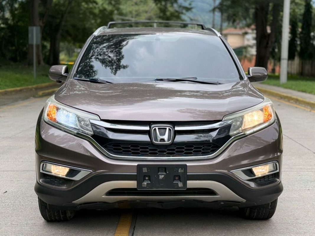 WhatsApp Image 2026-01-14 at 1.22.22 PM (1)