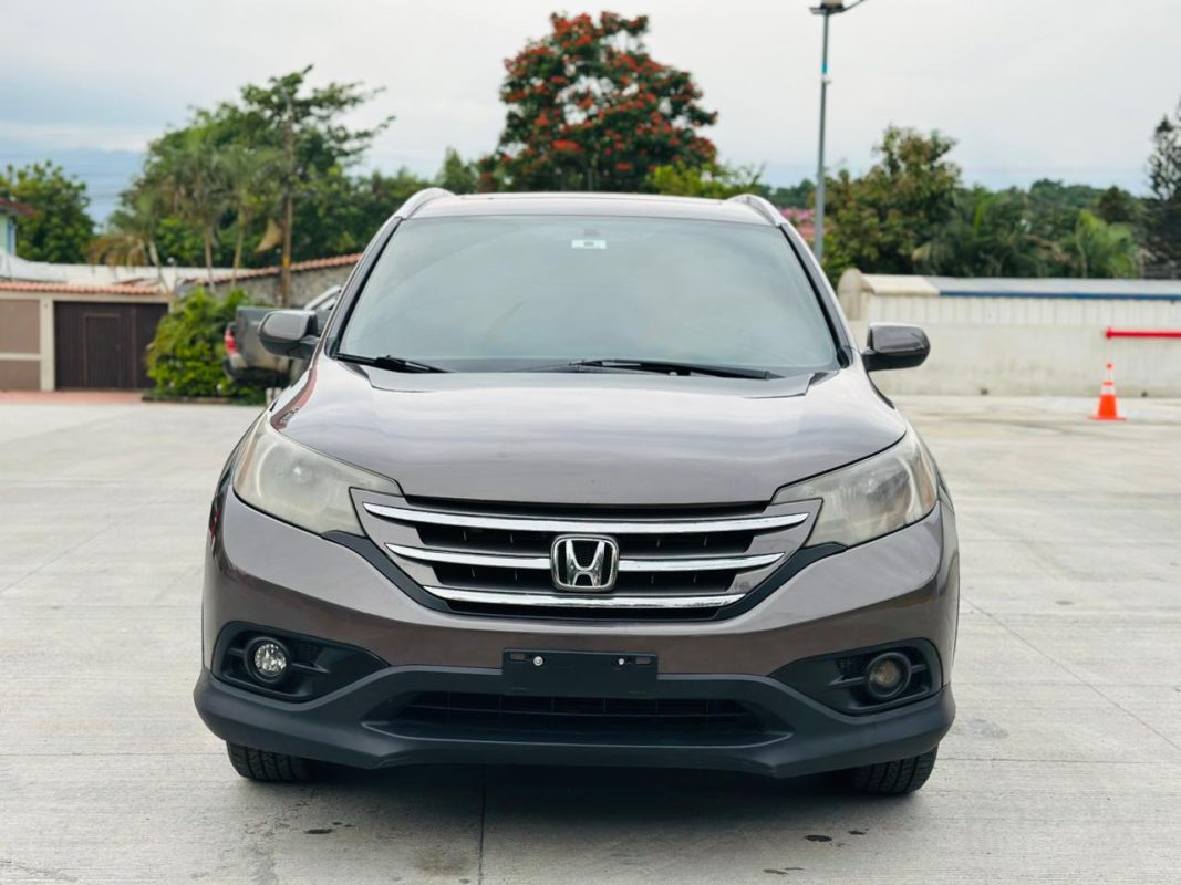 WhatsApp Image 2026-01-14 at 5.17.19 PM