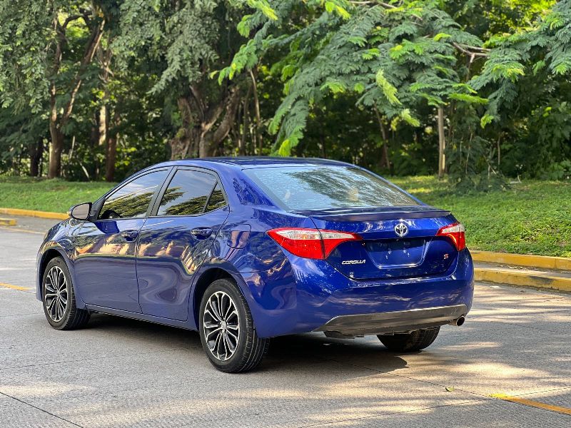 WhatsApp Image 2026-01-14 at 6.12.20 PM