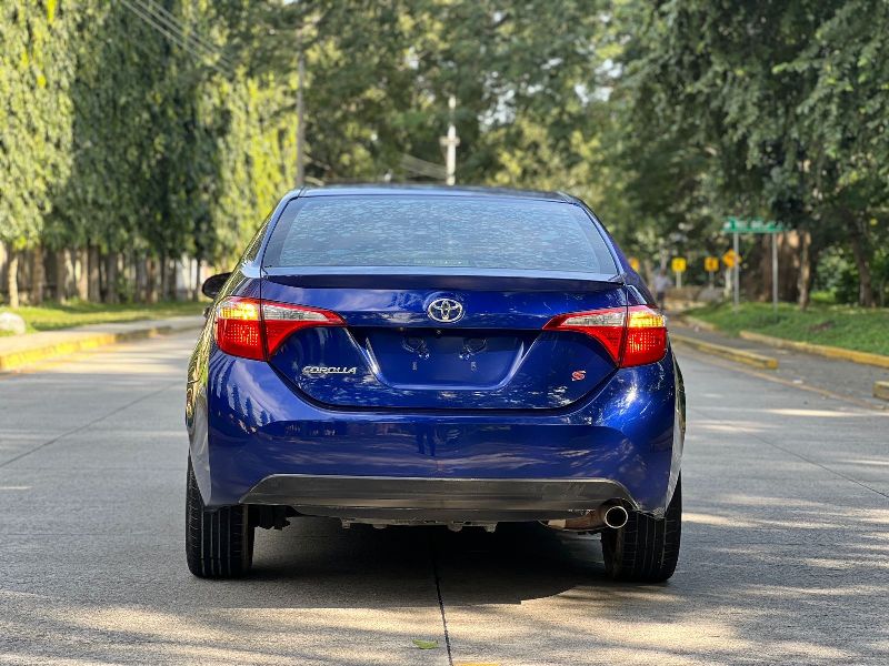 WhatsApp Image 2026-01-14 at 6.12.21 PM