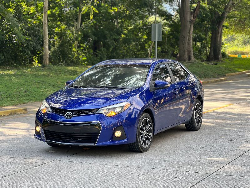 WhatsApp Image 2026-01-14 at 6.12.23 PM