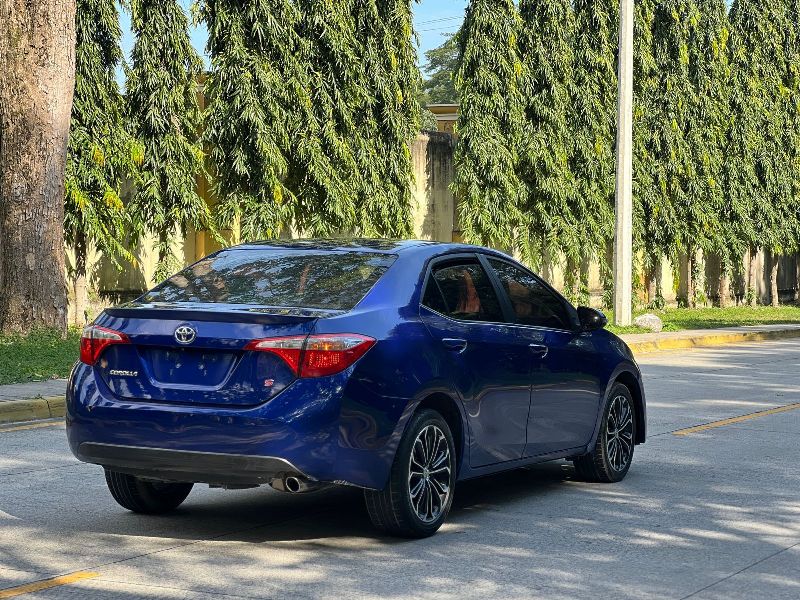 WhatsApp Image 2026-01-14 at 6.12.24 PM (1)