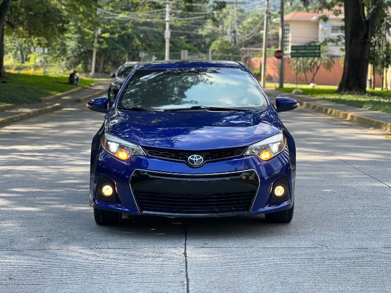 WhatsApp Image 2026-01-14 at 6.12.24 PM