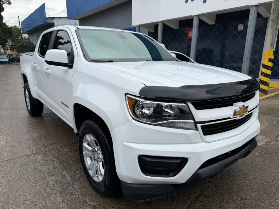 WhatsApp Image 2026-01-14 at 7.22.21 AM (1)