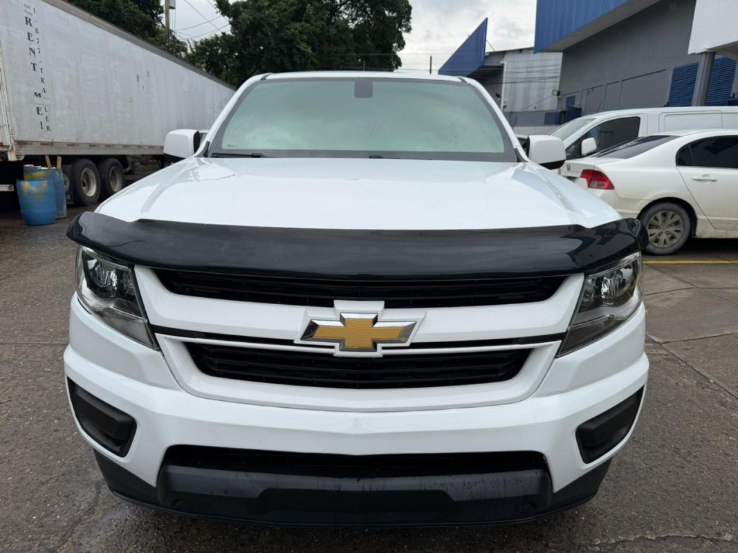 WhatsApp Image 2026-01-14 at 7.22.21 AM