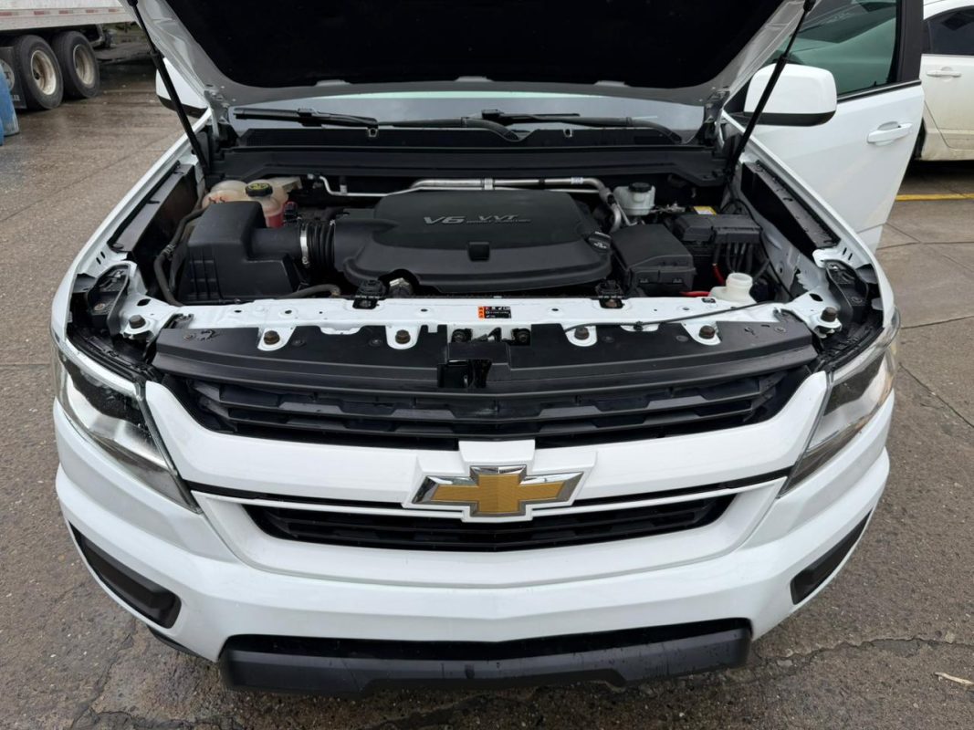 WhatsApp Image 2026-01-14 at 7.22.23 AM (1)