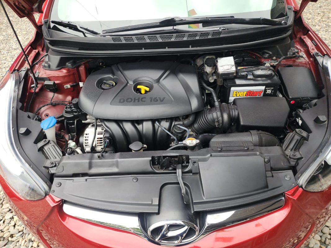 WhatsApp Image 2026-01-15 at 1.55.57 PM (1)