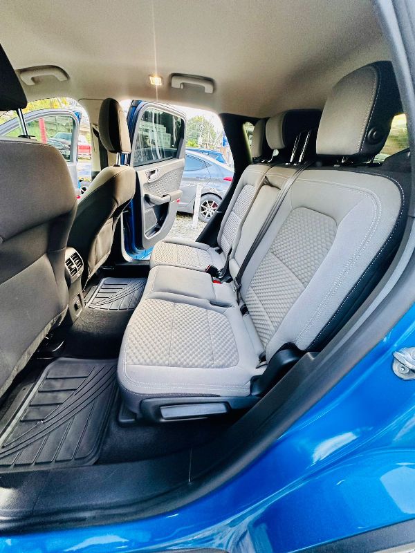 WhatsApp Image 2026-01-15 at 8.56.36 PM (1)