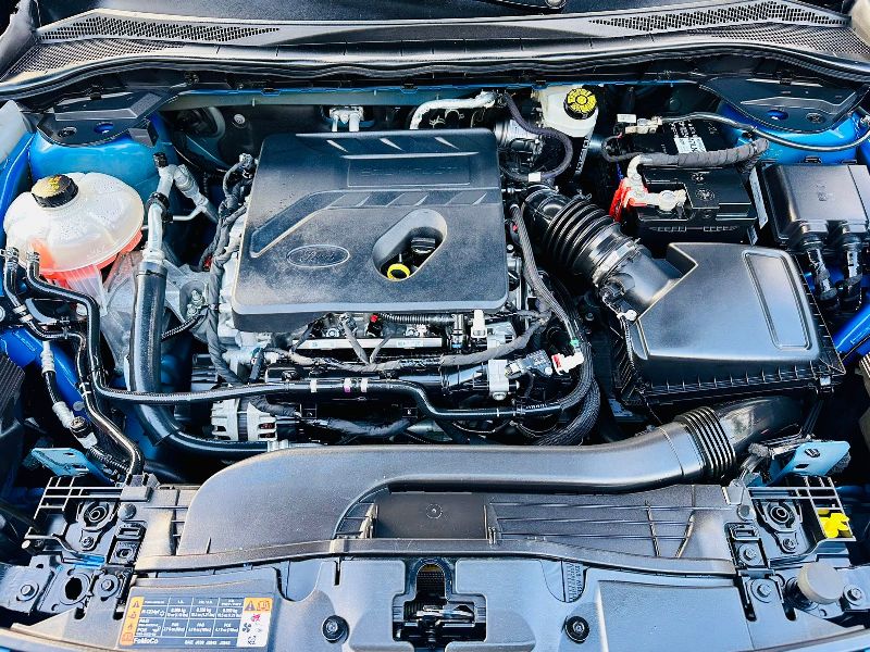 WhatsApp Image 2026-01-15 at 8.56.37 PM (1)