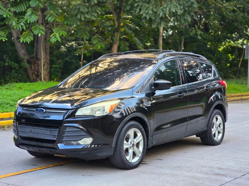 WhatsApp Image 2026-01-15 at 9.19.38 PM