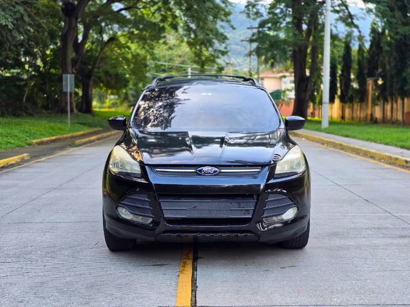 WhatsApp Image 2026-01-15 at 9.19.39 PM