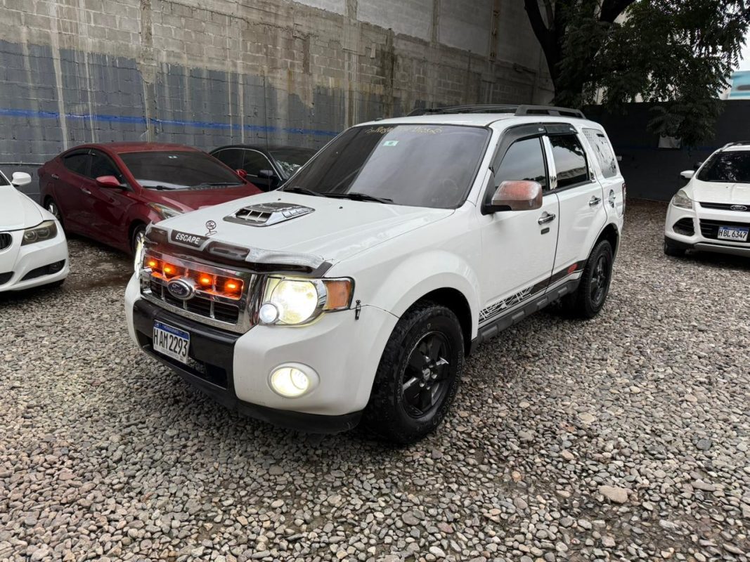 WhatsApp Image 2026-01-15 at 9.40.34 AM (3)