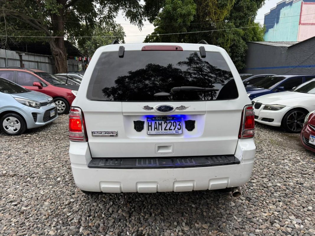 WhatsApp Image 2026-01-15 at 9.40.34 AM (5)