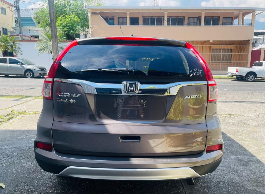 WhatsApp Image 2026-01-16 at 11.31.21 AM (3)