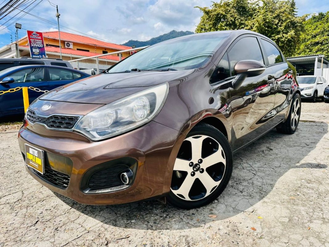 WhatsApp Image 2026-01-17 at 4.13.03 PM