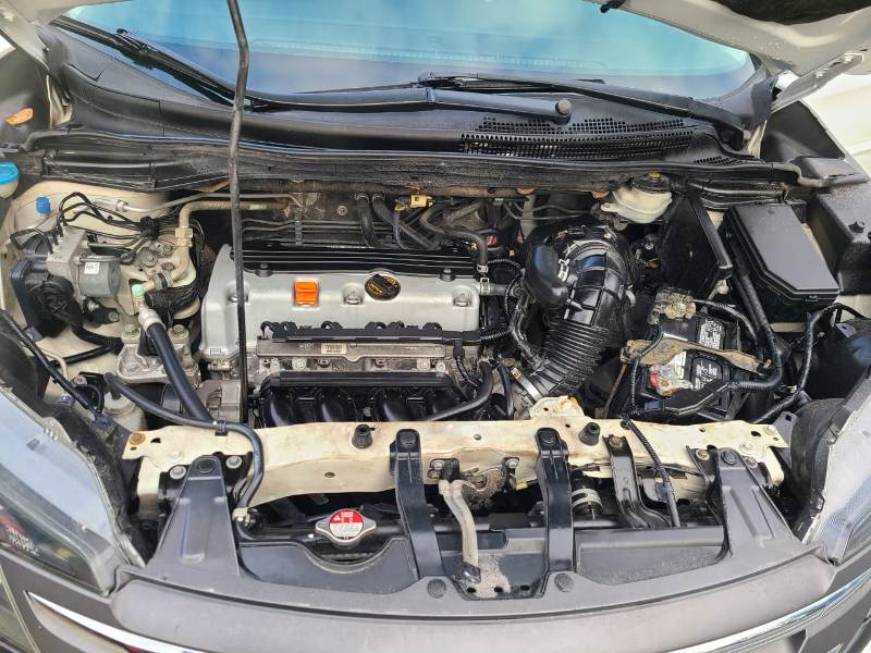 WhatsApp Image 2026-01-17 at 4.14.26 PM (2)