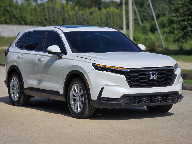 WhatsApp Image 2026-01-17 at 8.59.16 PM