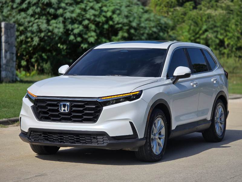 WhatsApp Image 2026-01-17 at 8.59.17 PM