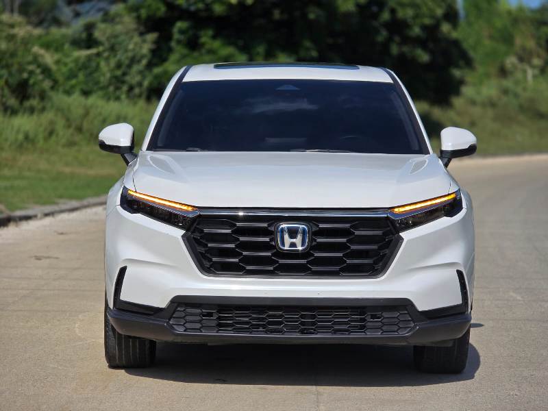 WhatsApp Image 2026-01-17 at 8.59.18 PM