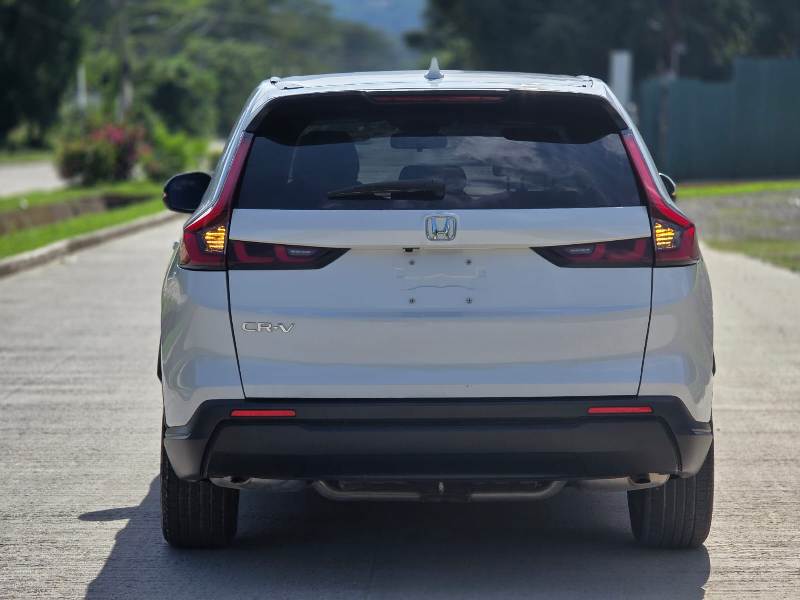 WhatsApp Image 2026-01-17 at 8.59.19 PM (1)