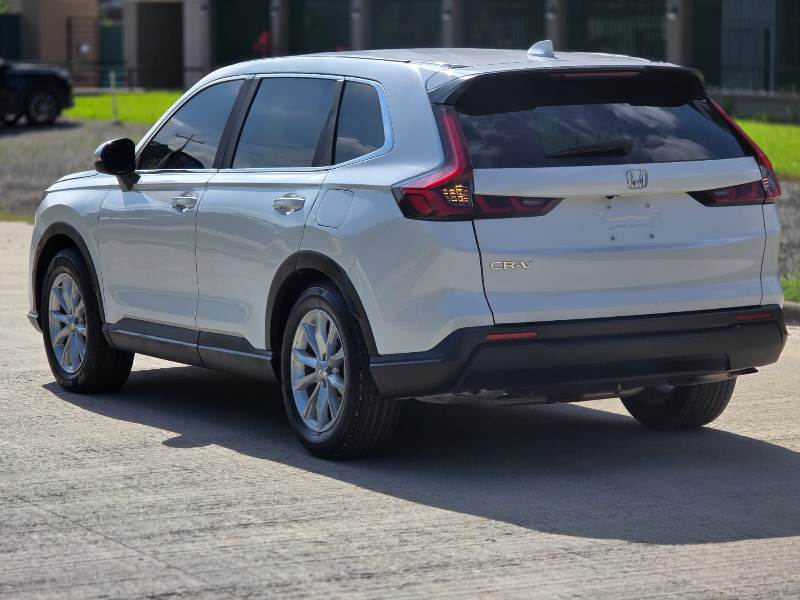 WhatsApp Image 2026-01-17 at 8.59.19 PM (2)