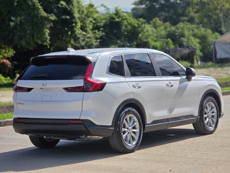 WhatsApp Image 2026-01-17 at 8.59.19 PM