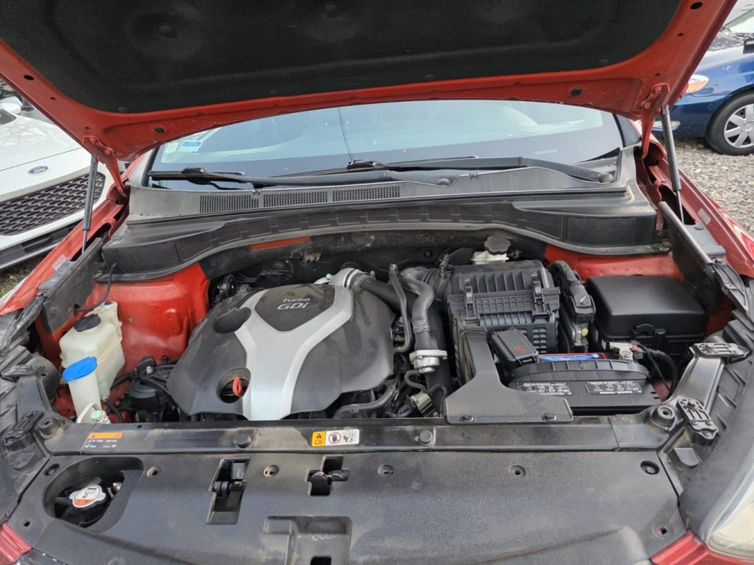 WhatsApp Image 2026-01-19 at 11.20.16 AM (4)