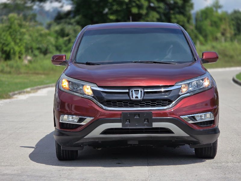 WhatsApp Image 2026-01-19 at 6.49.38 PM