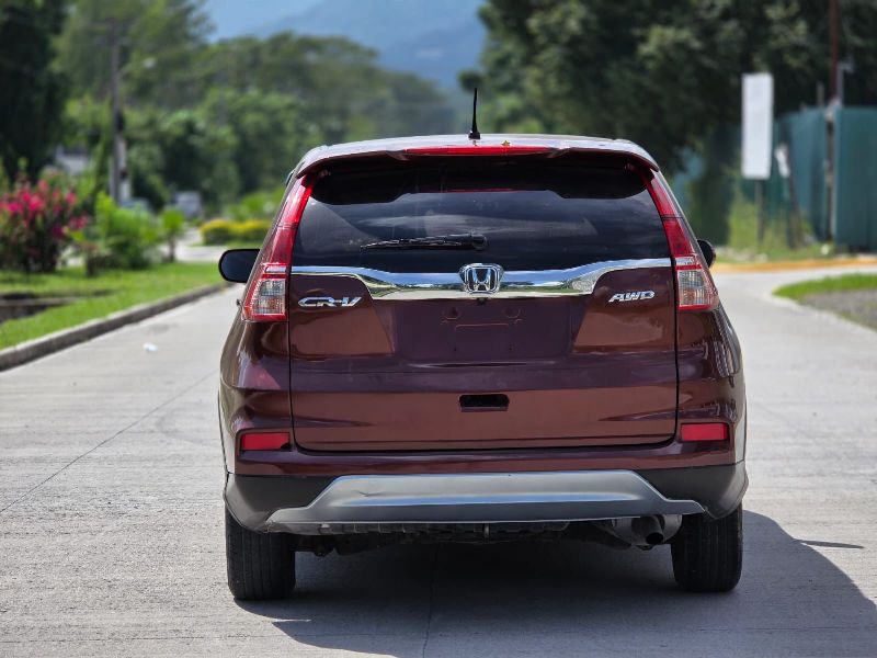 WhatsApp Image 2026-01-19 at 6.49.41 PM (1)