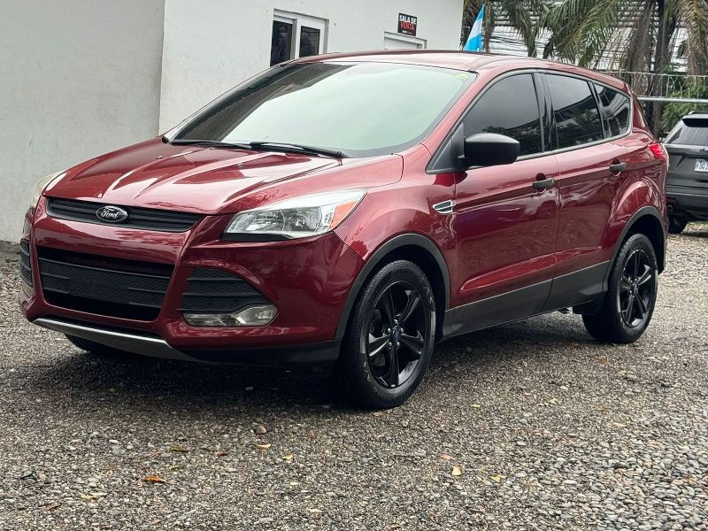 WhatsApp Image 2026-01-20 at 11.15.02 AM