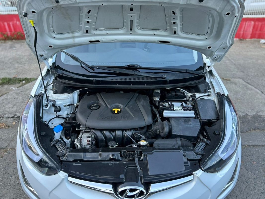 WhatsApp Image 2026-01-20 at 11.18.23 AM