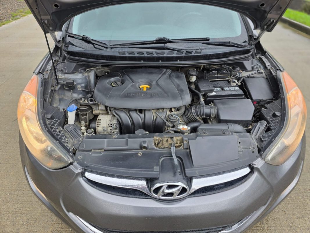 WhatsApp Image 2026-01-21 at 11.43.08 AM (1)