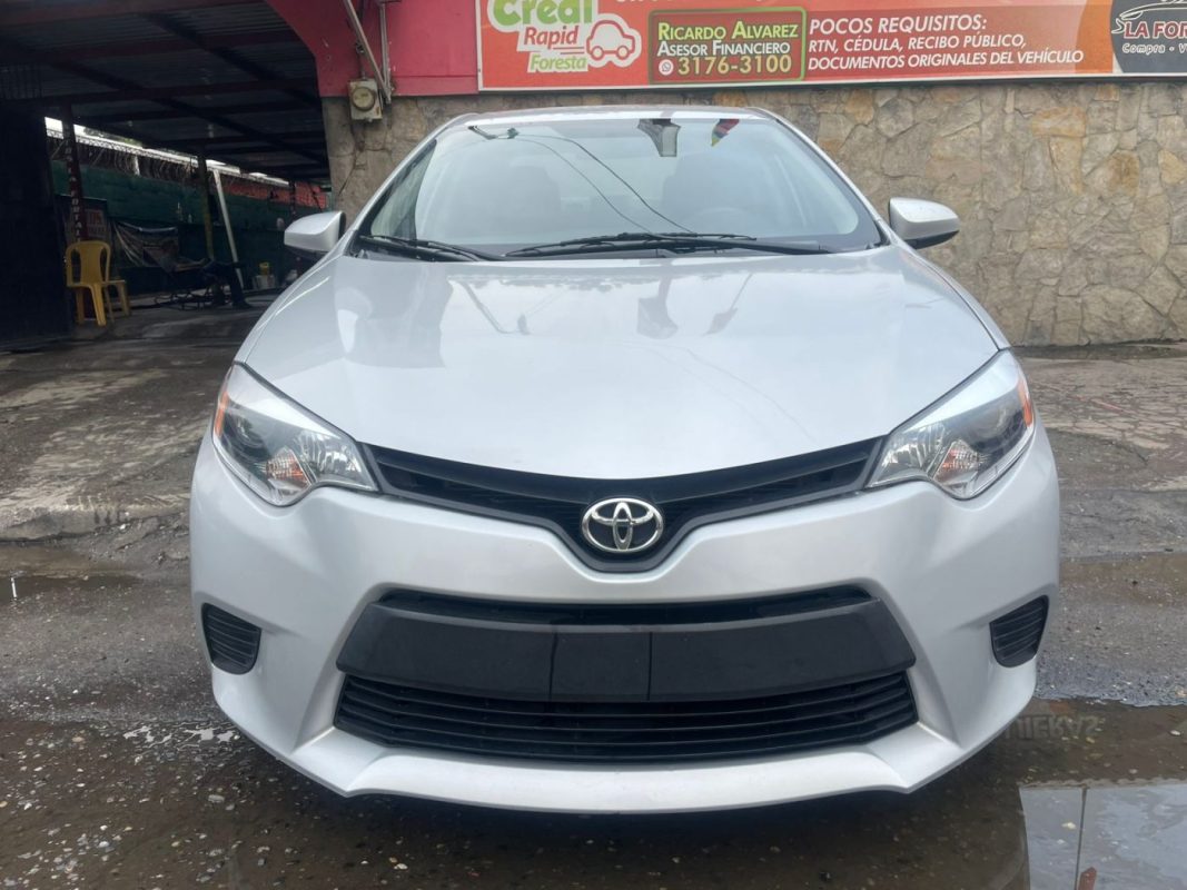 WhatsApp Image 2026-01-21 at 5.19.42 PM (1)