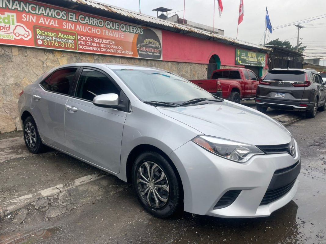 WhatsApp Image 2026-01-21 at 5.19.42 PM