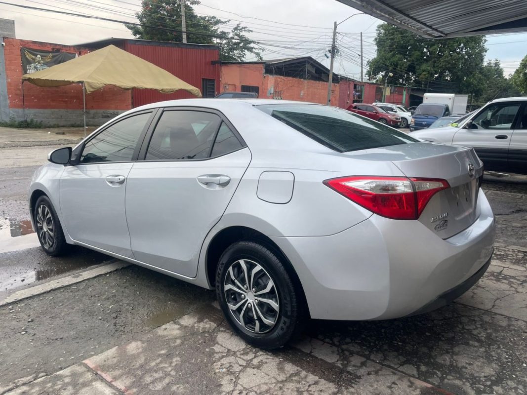 WhatsApp Image 2026-01-21 at 5.19.43 PM (1)