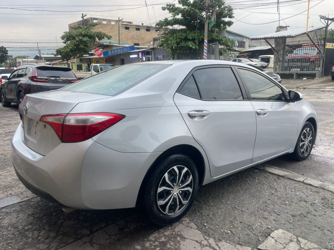 WhatsApp Image 2026-01-21 at 5.19.43 PM (2)