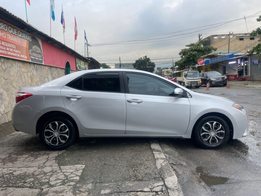 WhatsApp Image 2026-01-21 at 5.19.43 PM (3)