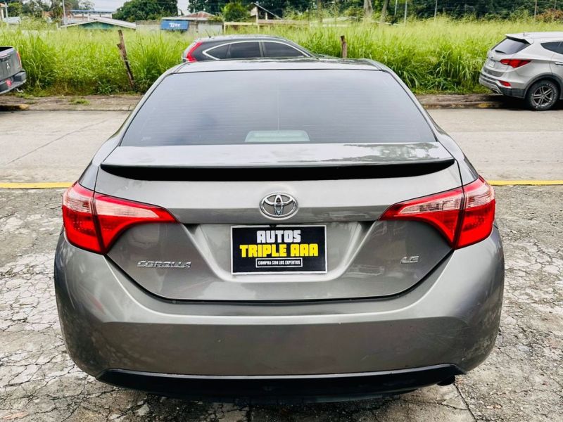 WhatsApp Image 2026-01-21 at 8.18.07 PM (1)