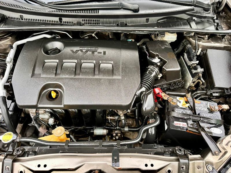 WhatsApp Image 2026-01-21 at 8.18.08 PM (1)