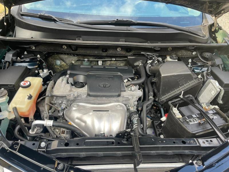 WhatsApp Image 2026-01-22 at 5.15.30 PM (1)