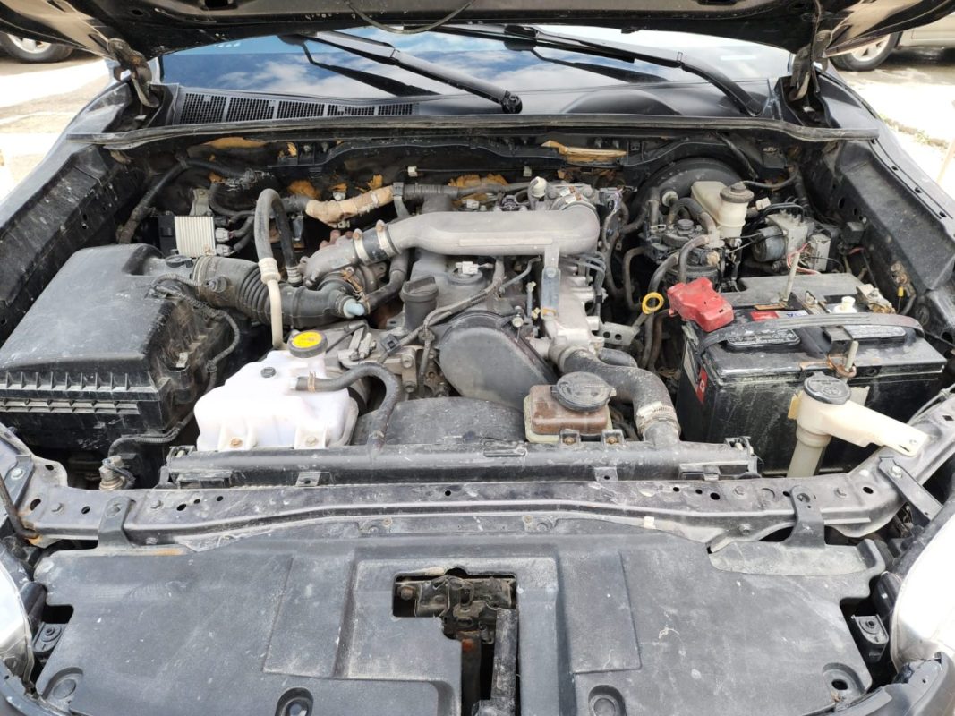 WhatsApp Image 2026-01-22 at 5.28.05 PM (1)