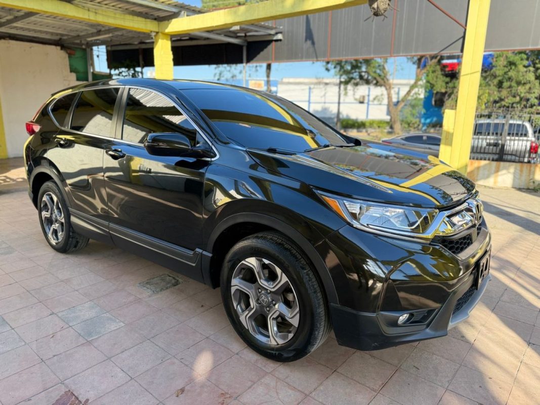 WhatsApp Image 2026-01-24 at 5.15.29 PM (1)