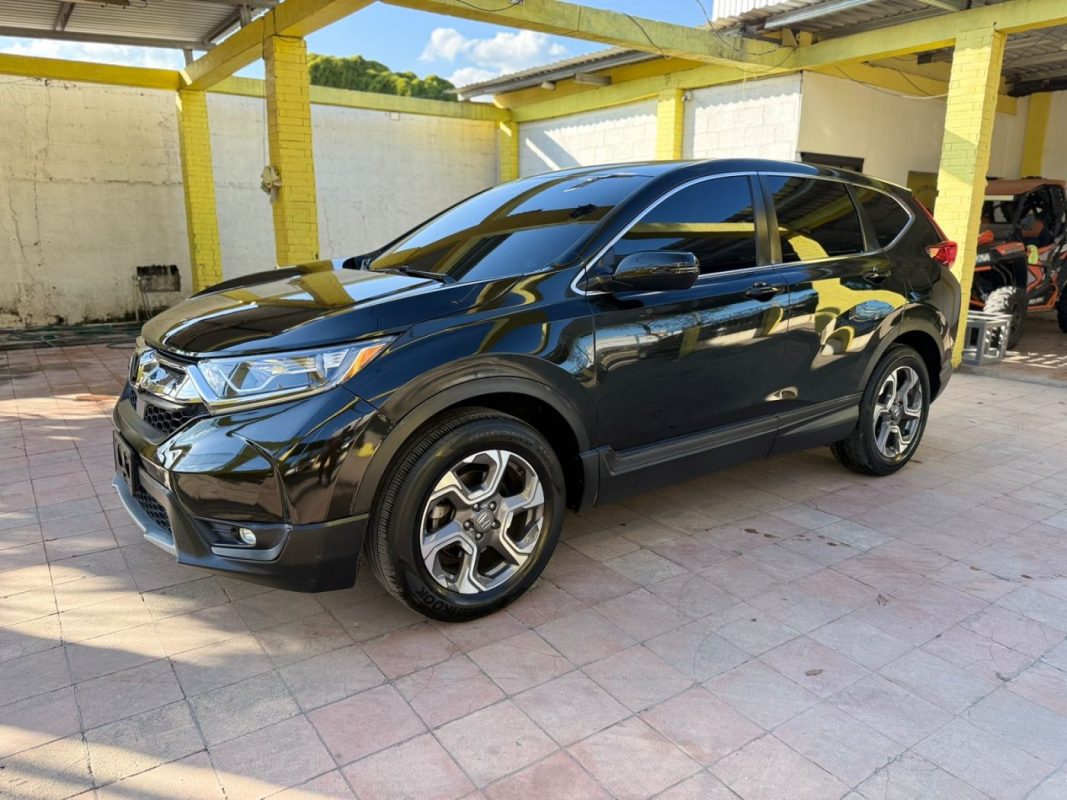 WhatsApp Image 2026-01-24 at 5.15.29 PM