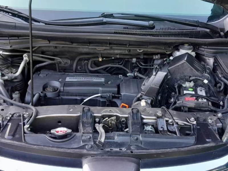 WhatsApp Image 2026-01-24 at 7.12.13 PM