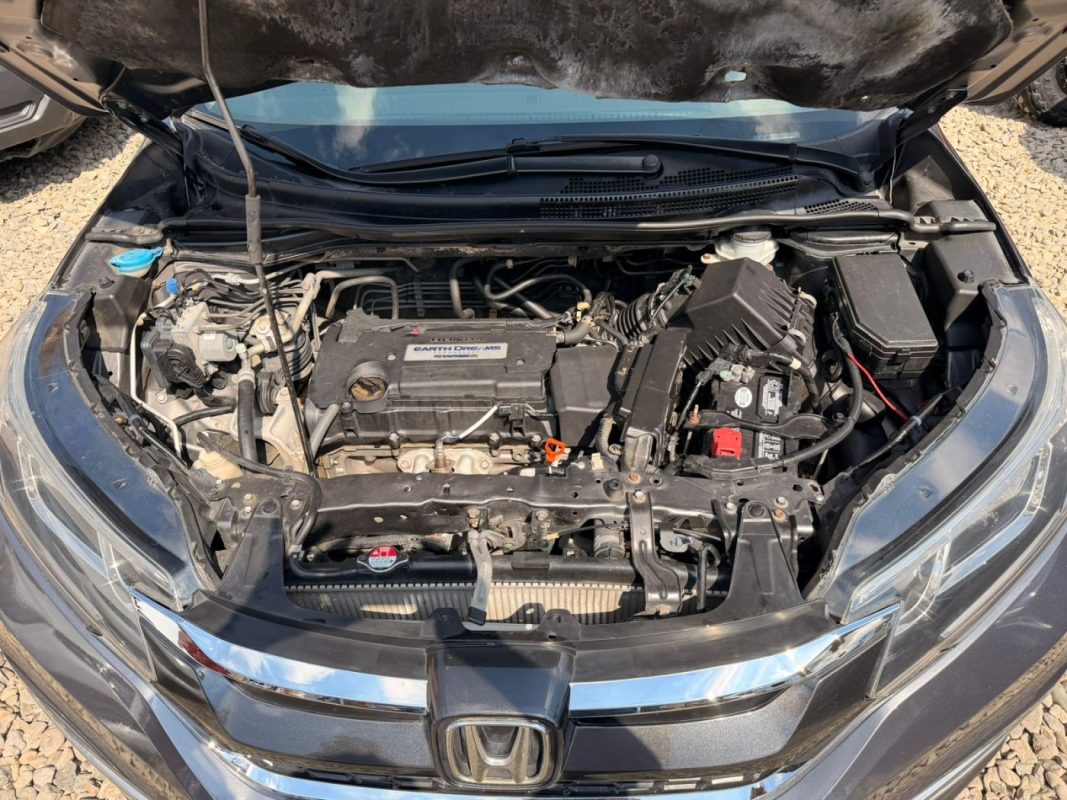 WhatsApp Image 2026-01-26 at 11.32.00 PM