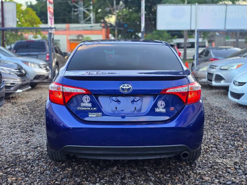 WhatsApp Image 2026-01-26 at 11.33.31 PM (3)