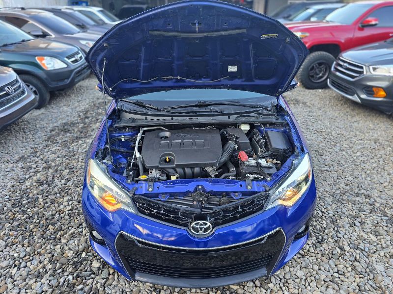 WhatsApp Image 2026-01-26 at 11.33.31 PM