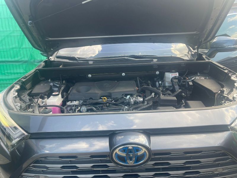 WhatsApp Image 2026-01-26 at 3.29.05 PM (2)